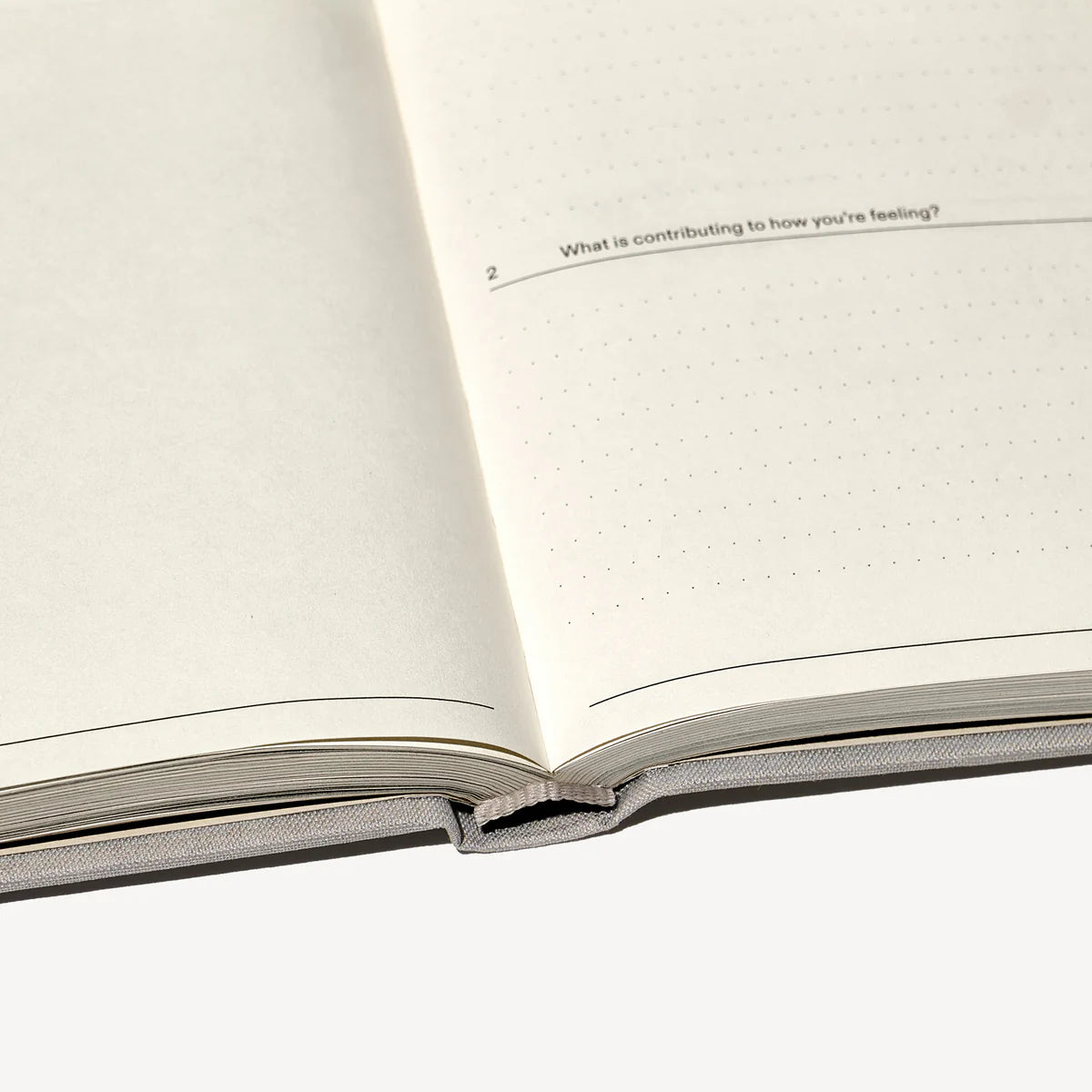 Therapy Journal