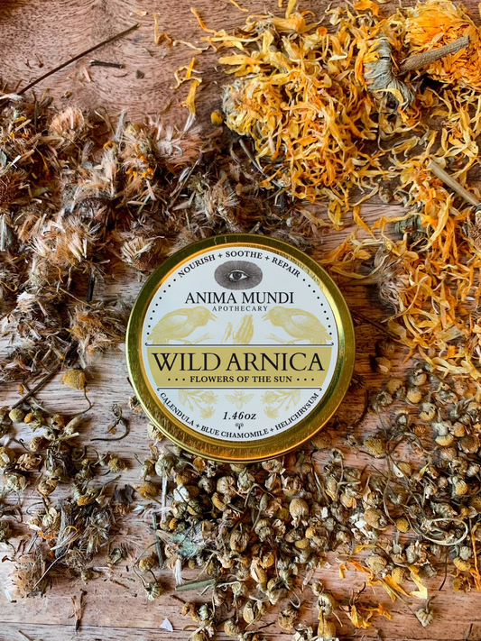 Arnica Balm